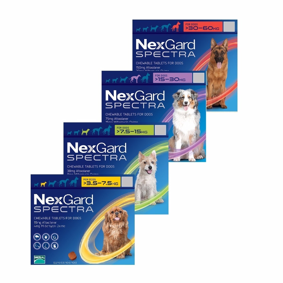 Nexgard Spectra Dog BandPets Farmacia Veterinaria